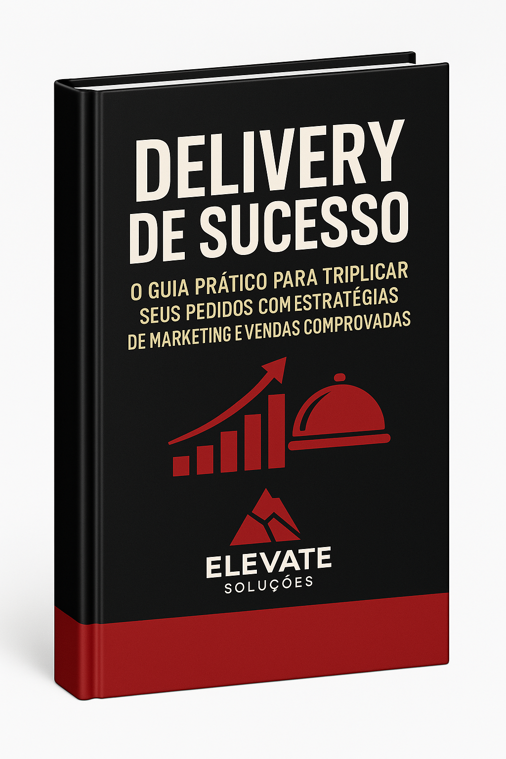Capa do E-book Delivery de Sucesso